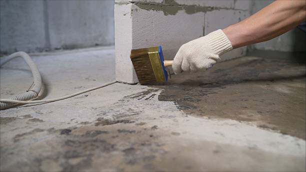 SJ Waterproofing Pros Exterior Waterproofing coverage map for Roselle, IL and surrounding area
